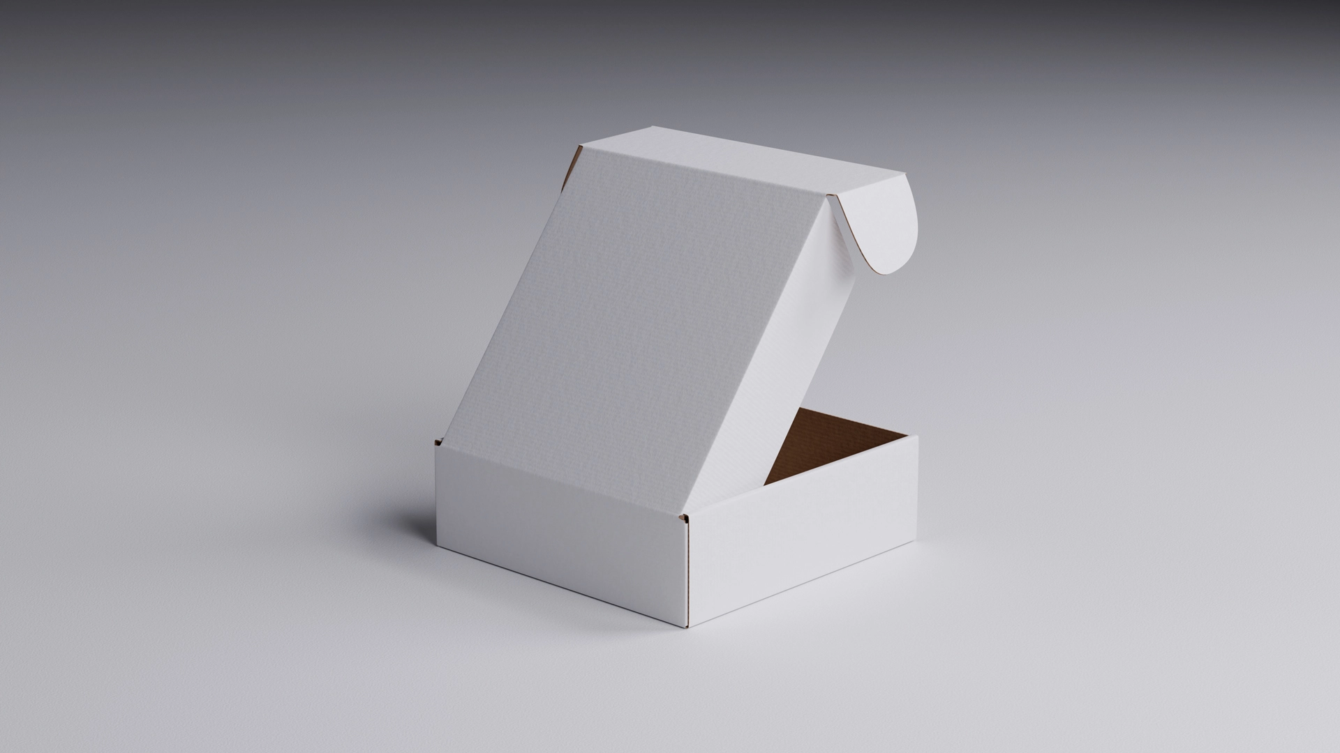 Cardboard-Box-Mockup-Back-Open-210x210x67